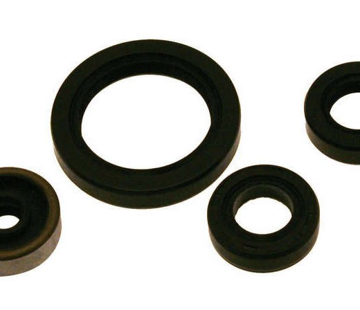 Kit de retenes de motor CENTAURO