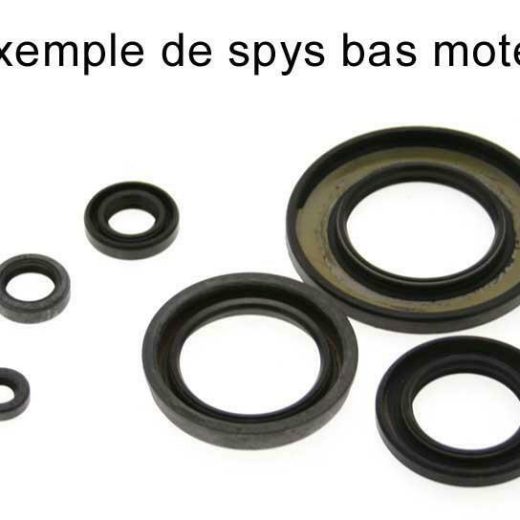 Kit CENTAURO de retenes de motor
