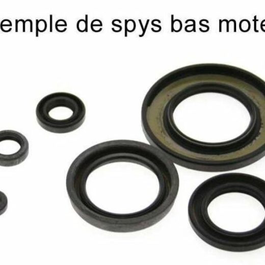 Kit CENTAURO de retenes de motor