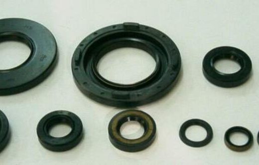 Kit TOURMAX retenes aceite de motor - XT SR500 76-95