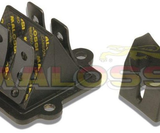 Caja láminas carbono Malossi MHR AEROX/NEOS/F12/F10/F15/KEEWAY/CPI 27 7731.C0
