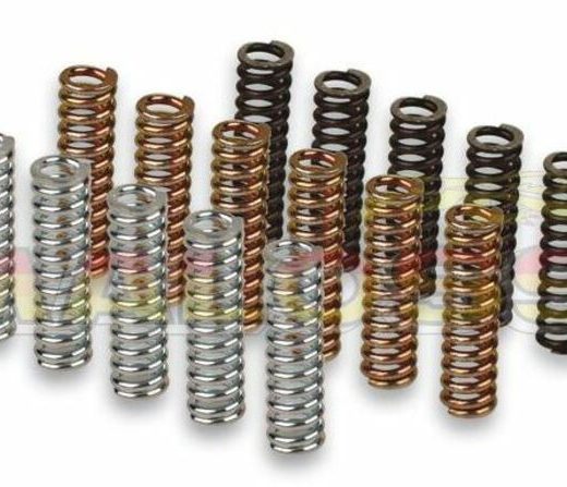 Kit MALOSSI de muelles de embrague racing Yamaha T-MAX 530 12-15 2915602