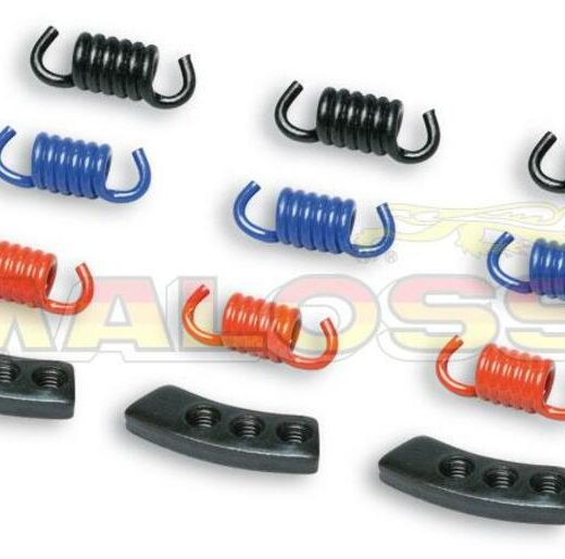 Kit MALOSSI de muelles de embrague racing para embrague original