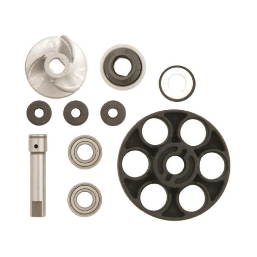 Kit V PARTS de reparación bomba de agua Tecnium