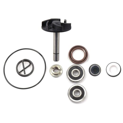 Kit V PARTS de reparación bomba de agua Tecnium