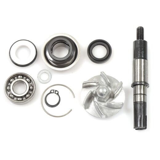 Kit V PARTS de reparación bomba de agua Daelim S3 125