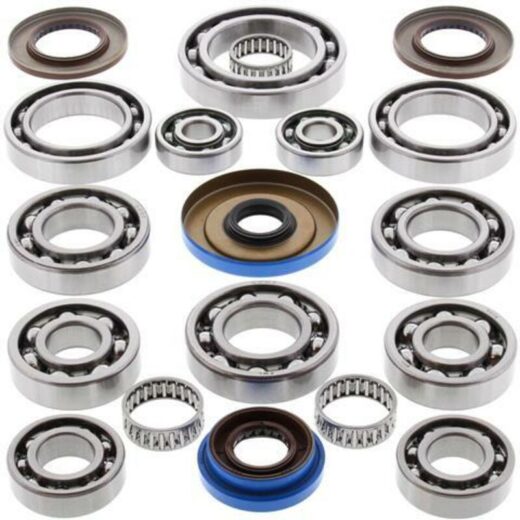 Kit ALL BALLS de rodamientos y retenes del diferencial trasero Polaris