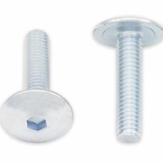 Tornillos cabeza redonda plana BOLT M6 x 1,00 x 25mm