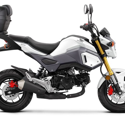 Fijaciones Shad Top Master Honda MSX 125 17