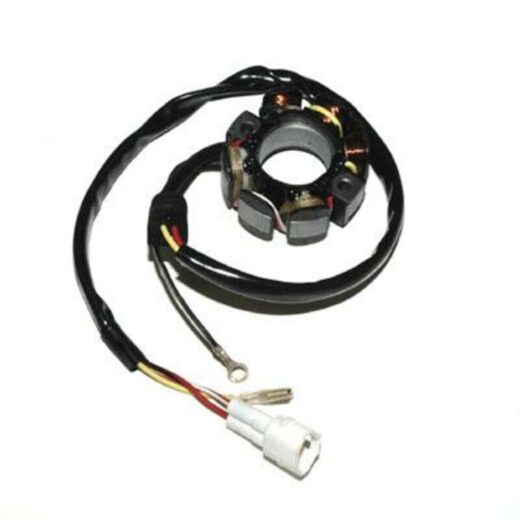 Estátor con bobina de encendido ELECTROSPORT - KTM