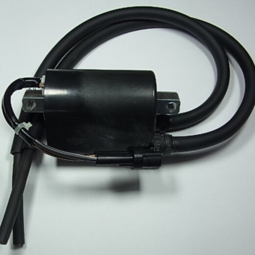 Bobina de encendido TOURMAX - Suzuki DL650 V-Strom