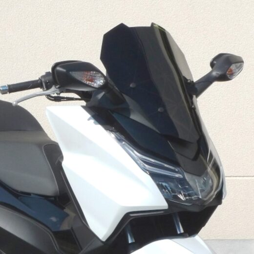 Pantalla V PARTS Racing transparente