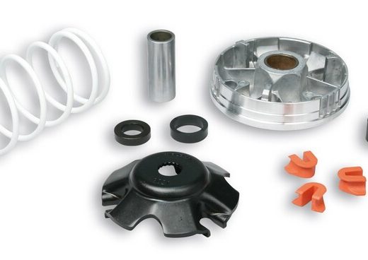 Variador Multivar Malossi PIAGGIO 50CC 2T&4T ZIP/FLY/LIBERTY 50 4T 51 9019