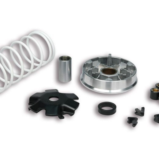 Variador Multivar Malossi KYMCO 2T AGILITY/DINK/SUPER8-9 51 9988