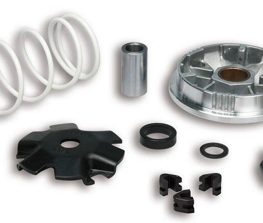 Variador Multivar Malossi Yamaha GIGGLE/NEOS 4T