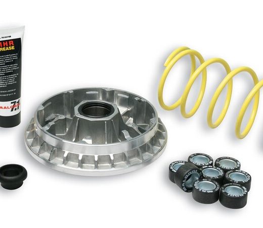 Variador Multivar Malossi SUZ. BURGMAN 400 99-06