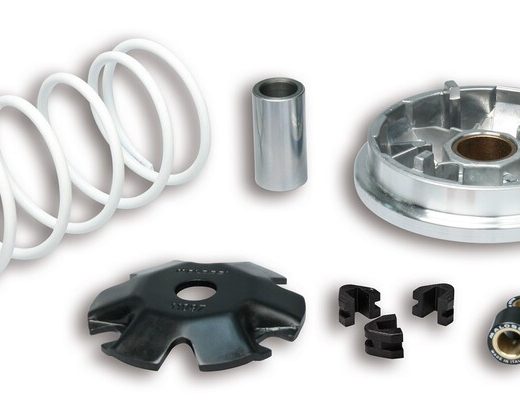 Variador Multivar Malossi HONDA VISION 50 4T IE